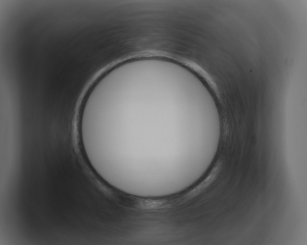 X0000101231278200806270938