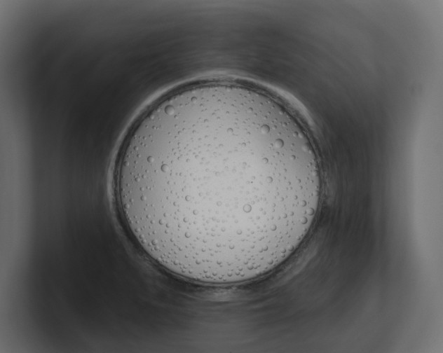X0000101231279200806270938