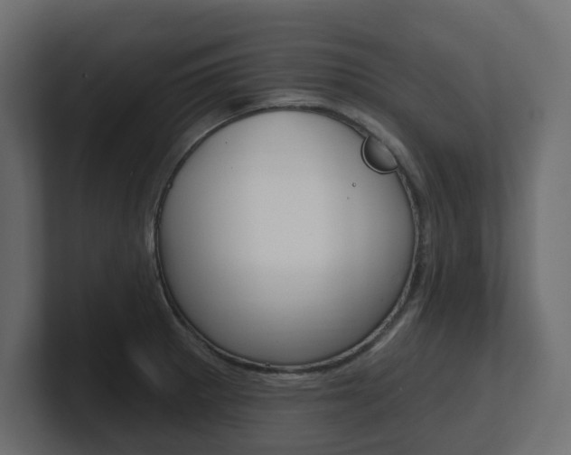 X0000101231281200806270938