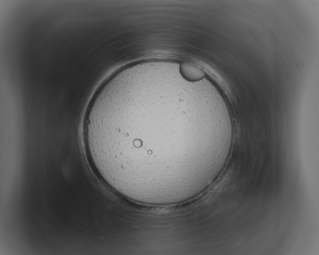 X0000101231283200806270938