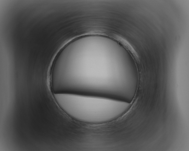 X0000101231284200806270938