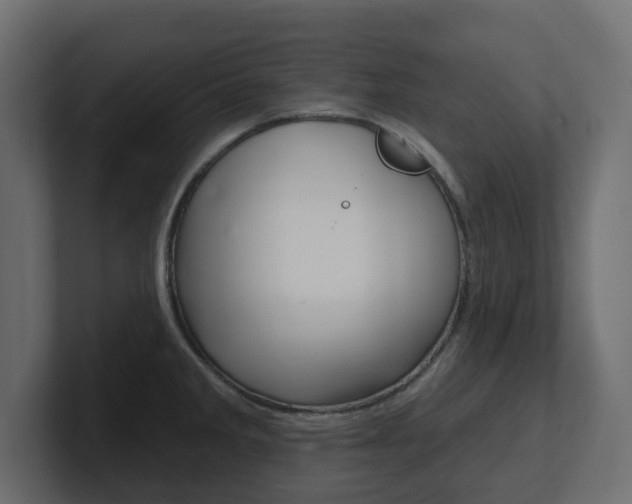X0000101231285200806270938