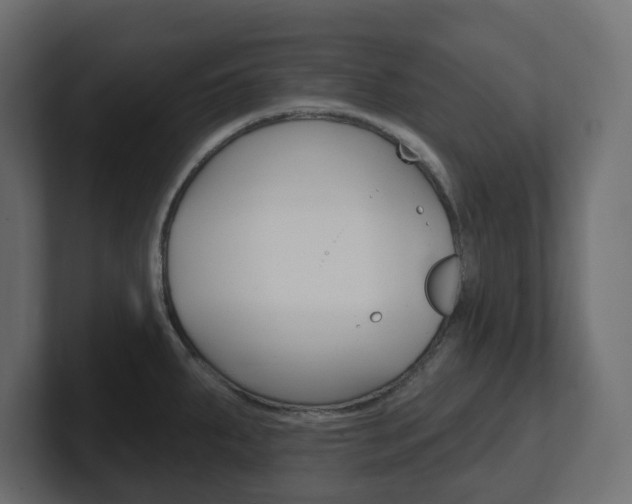 X0000101231287200806270938