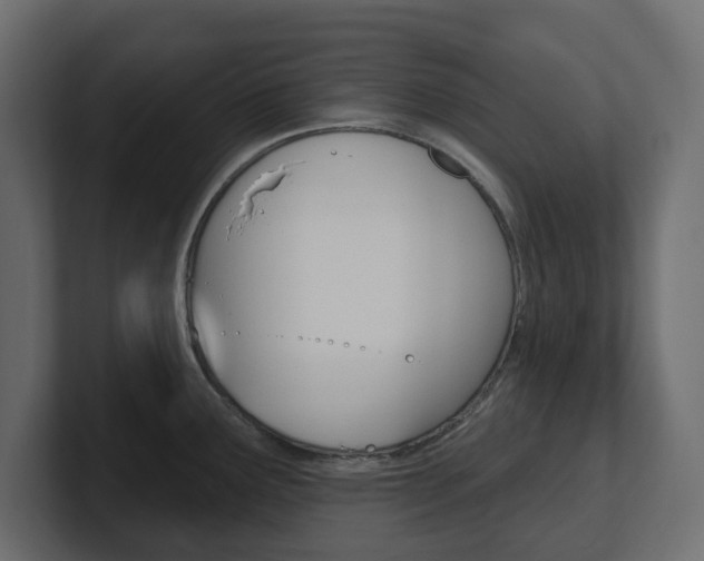 X0000101231291200806270937