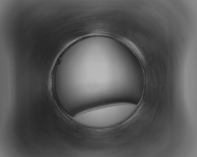 X0000101231292200806270937