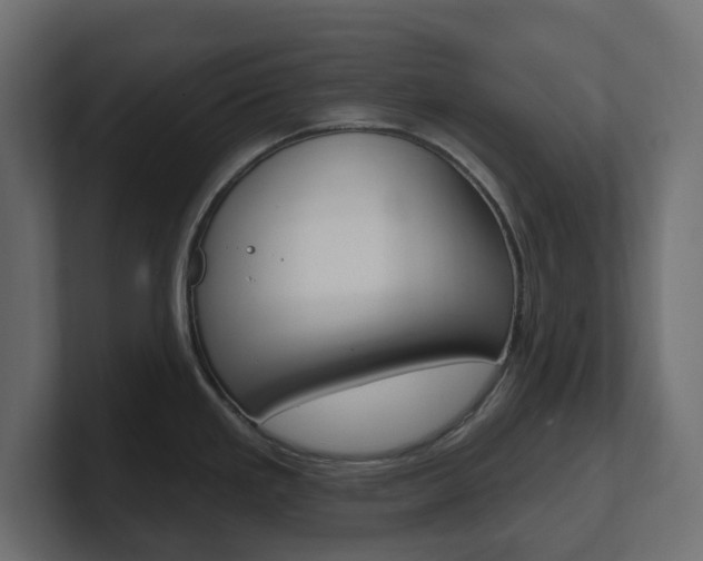 X0000101231293200806270937