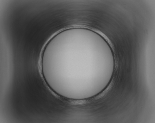 X0000101231294200806270937