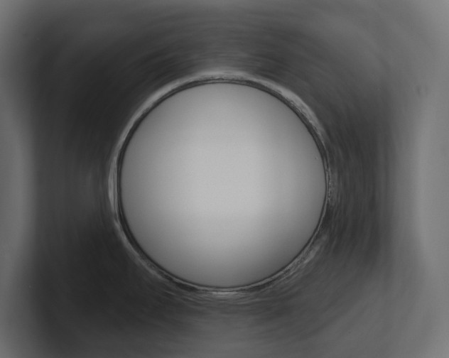 X0000101231295200806270937