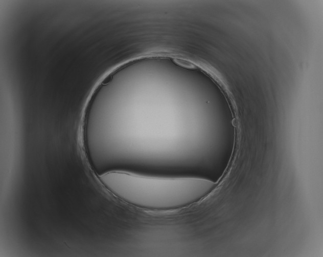 X0000101231296200806270937