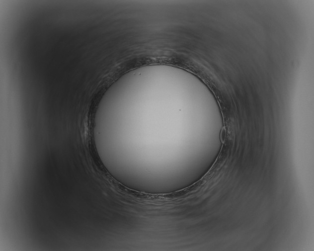X0000101231298200806270937