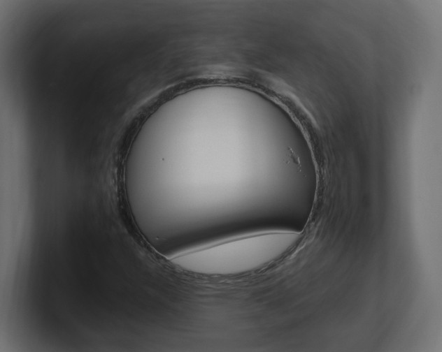 X0000101231304200806270937