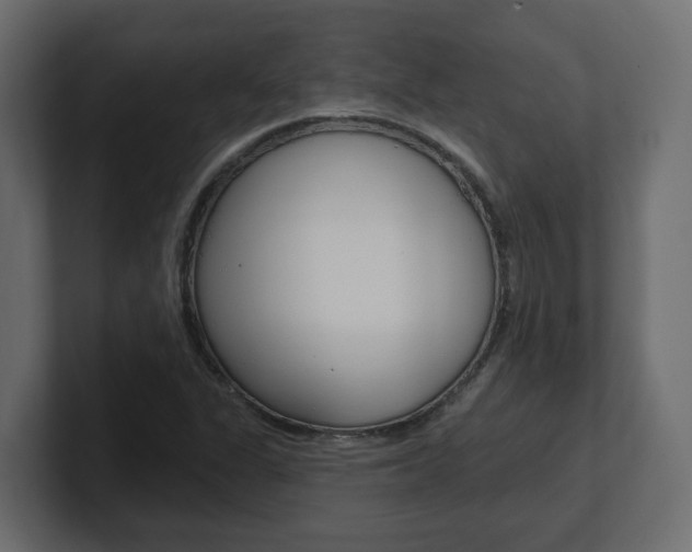X0000101231311200806270937
