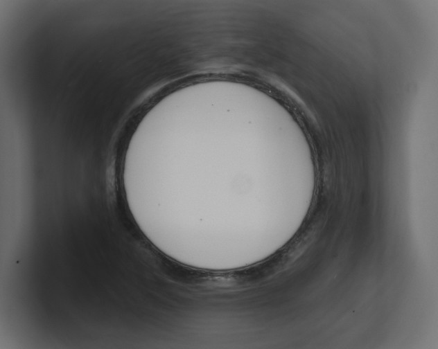 X0000101231315200806270937