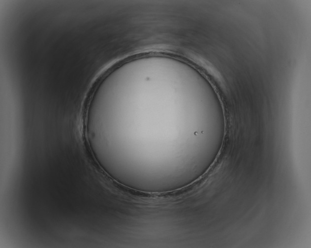 X0000101231316200806270937