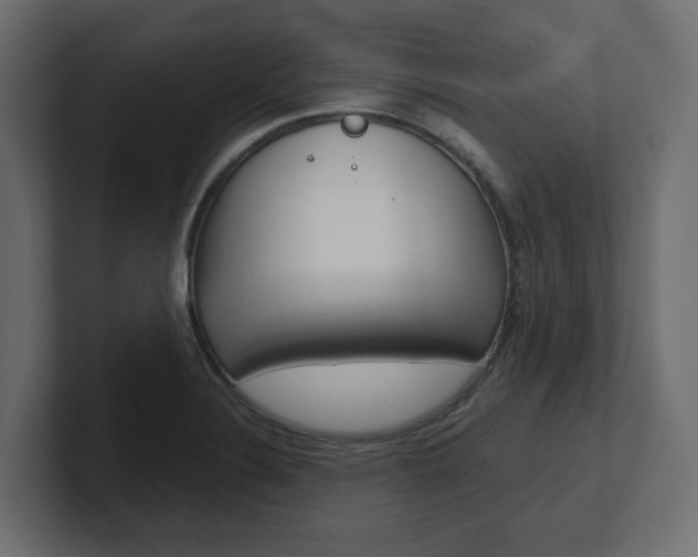 X0000101231324200806270937