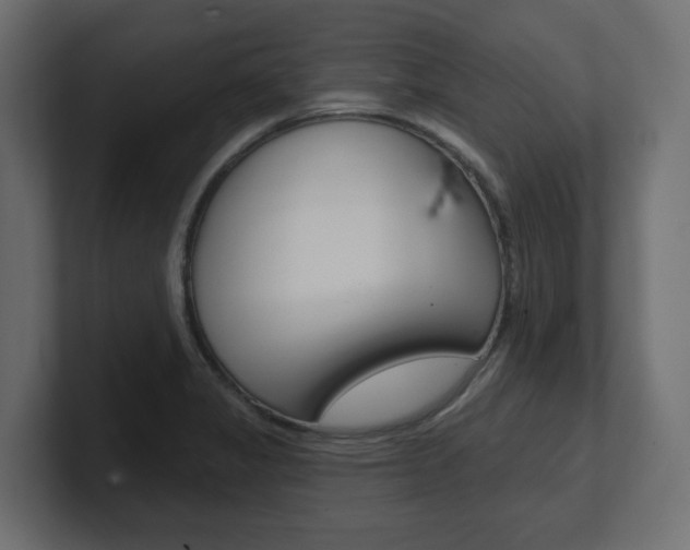 X0000101231325200806270937