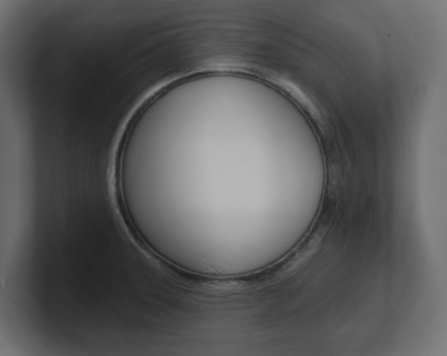 X0000101231331200806270937