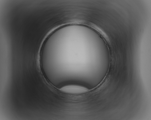 X0000101231332200806270937