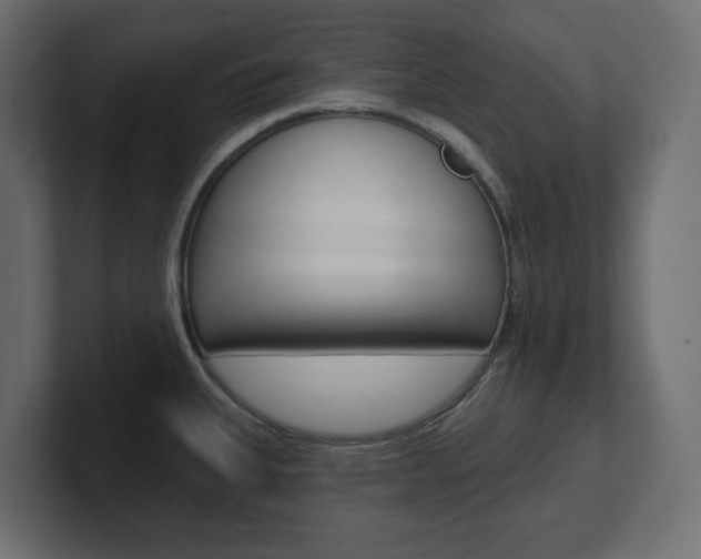 X0000101231335200806270937