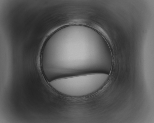 X0000101231336200806270937