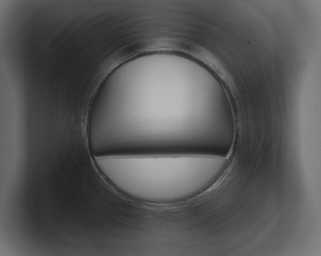 X0000101231337200806270937