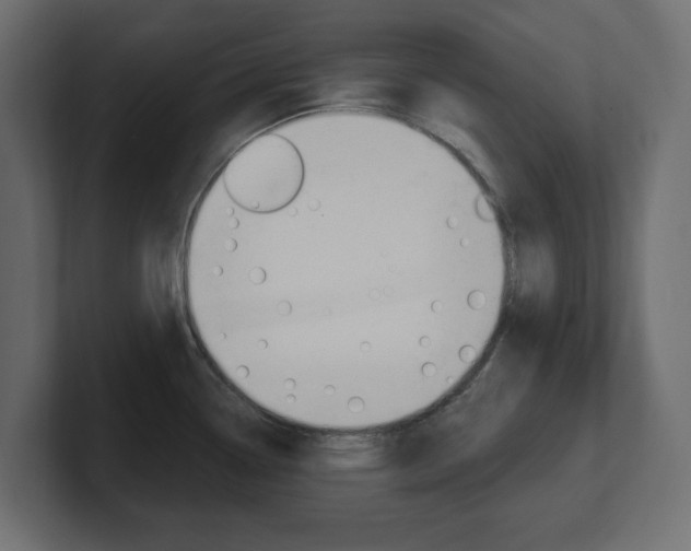 X0000101231338200806270937