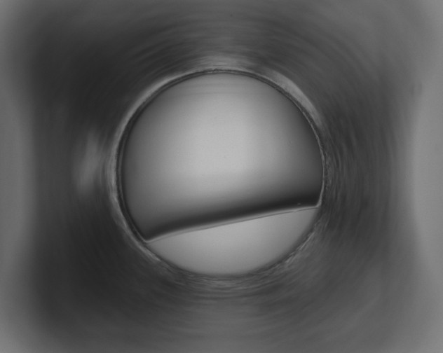 X0000101231339200806270937