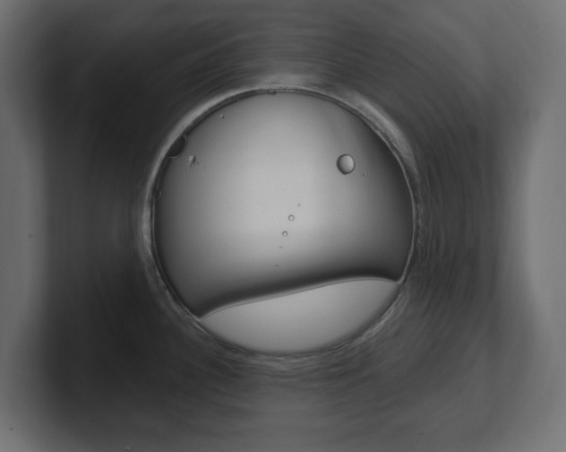 X0000101231340200806270937