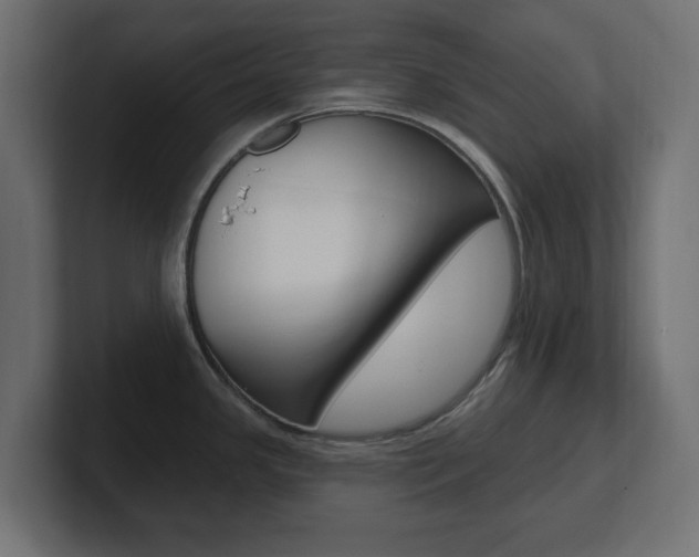 X0000101231341200806270937