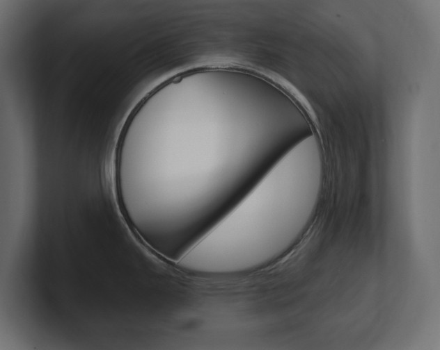 X0000101231343200806270937