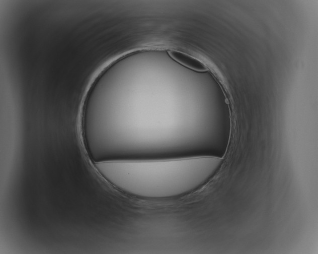 X0000101231344200806270937