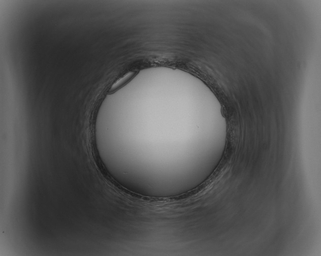 X0000101231345200806270937