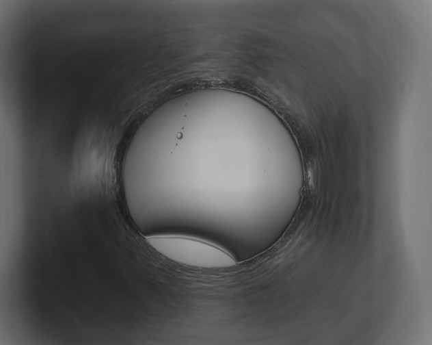 X0000101231347200806270937