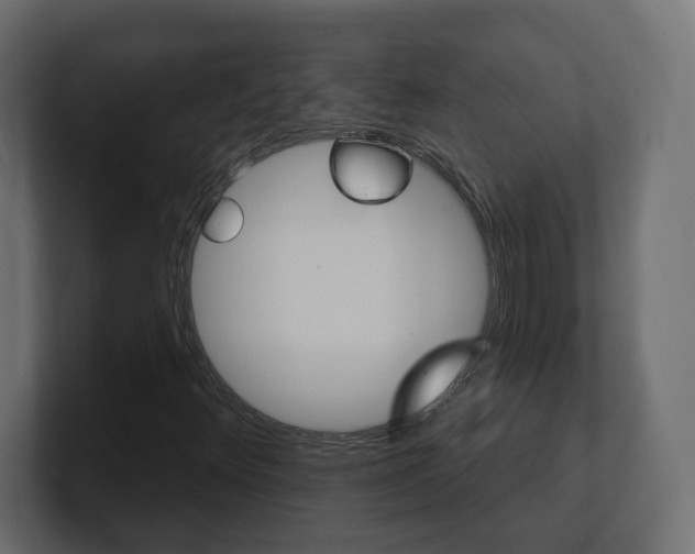 X0000101231348200806270937