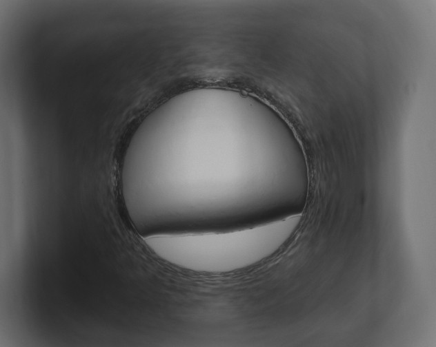X0000101231349200806270937