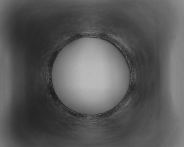 X0000101231350200806270937