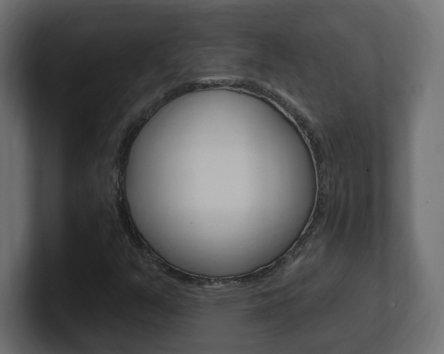 X0000101231351200806270937