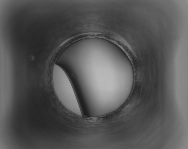 X0000101231352200806270937