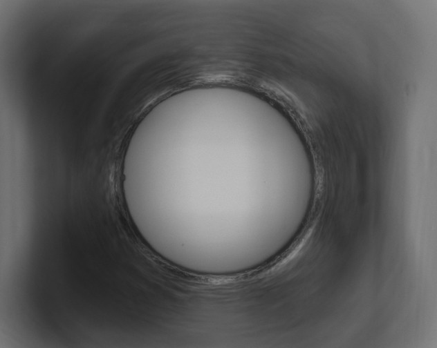 X0000101231353200806270937