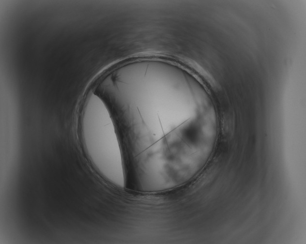 X0000101231356200806270937