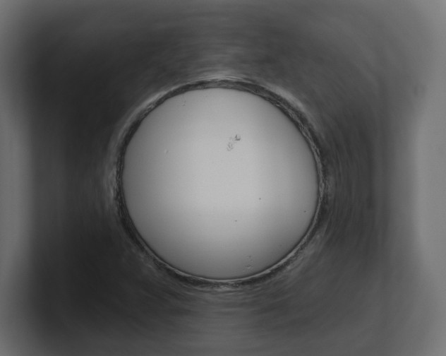 X0000101231359200806270937
