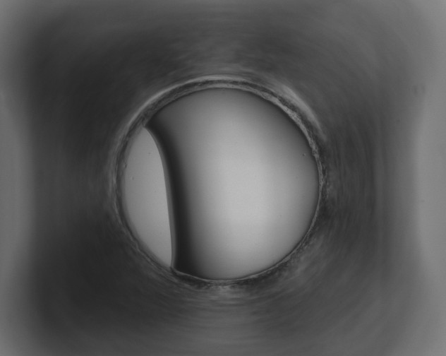 X0000101231360200806270937
