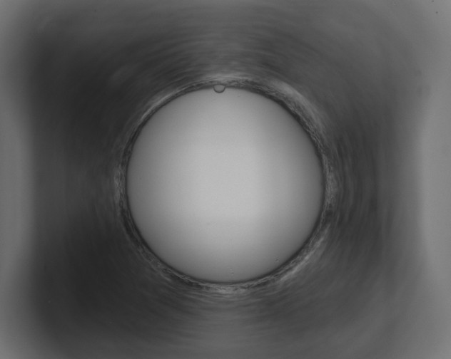 X0000101231361200806270937