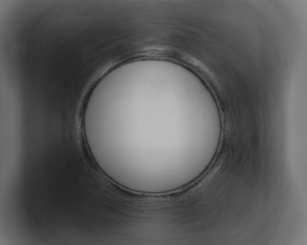 X0000101231362200806270937