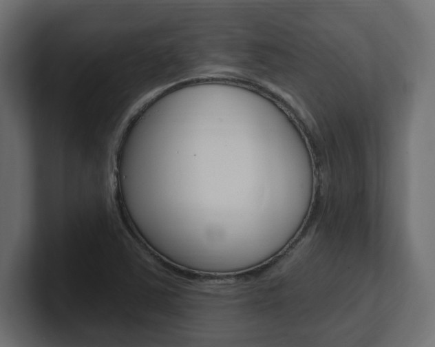 X0000101231363200806270936