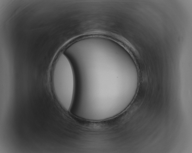 X0000101231364200806270936