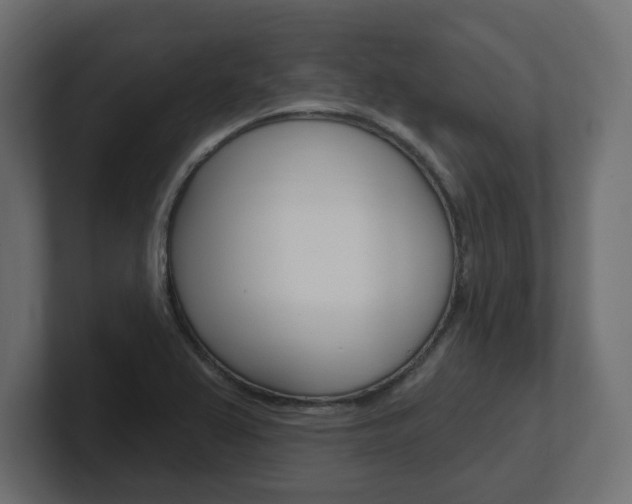 X0000101231367200806270936