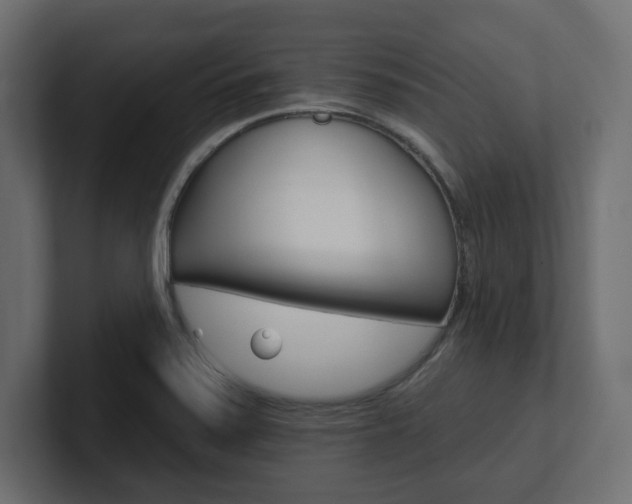 X0000101231371200806270936