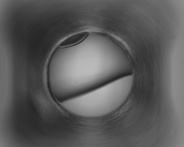 X0000101231375200806270936