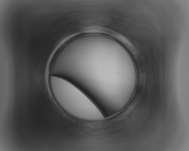 X0000101231376200806270936